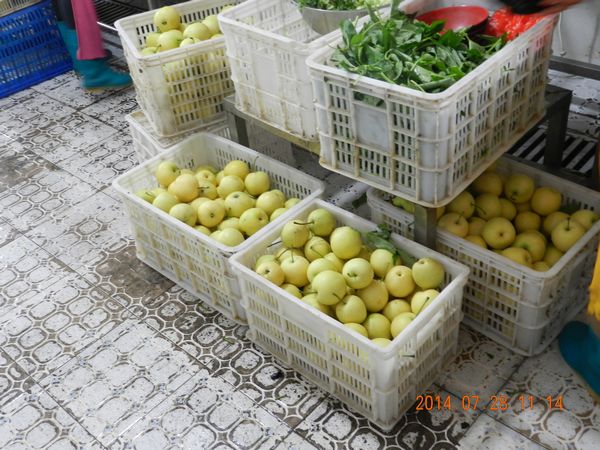 福鹿会·F6(中国)最新官方网站