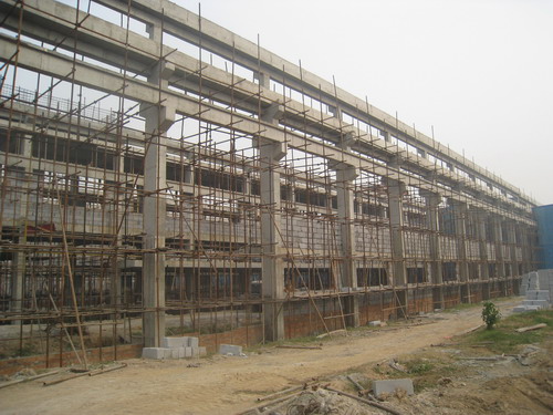 金秋福鹿会F6,二期进展迅快