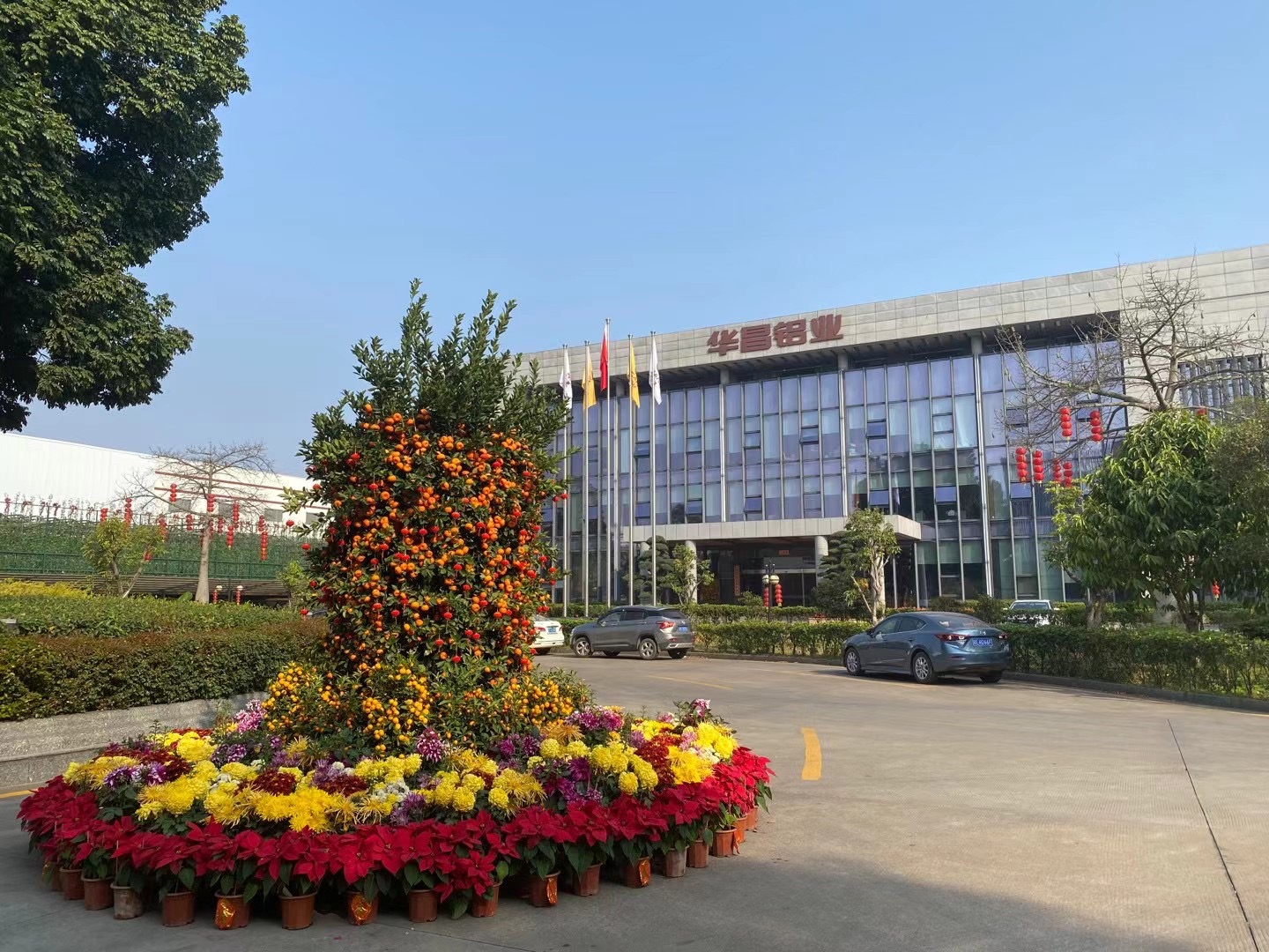 牛转乾坤 福鹿会F6奋进  ——福鹿会F6铝业董事长潘伟深2021新年启市致辞