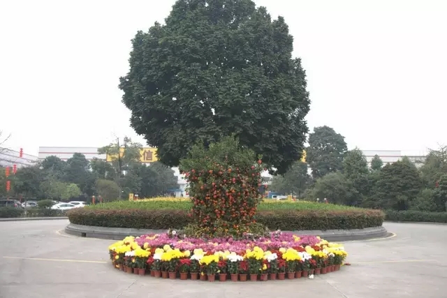 福鹿会·F6(中国)最新官方网站