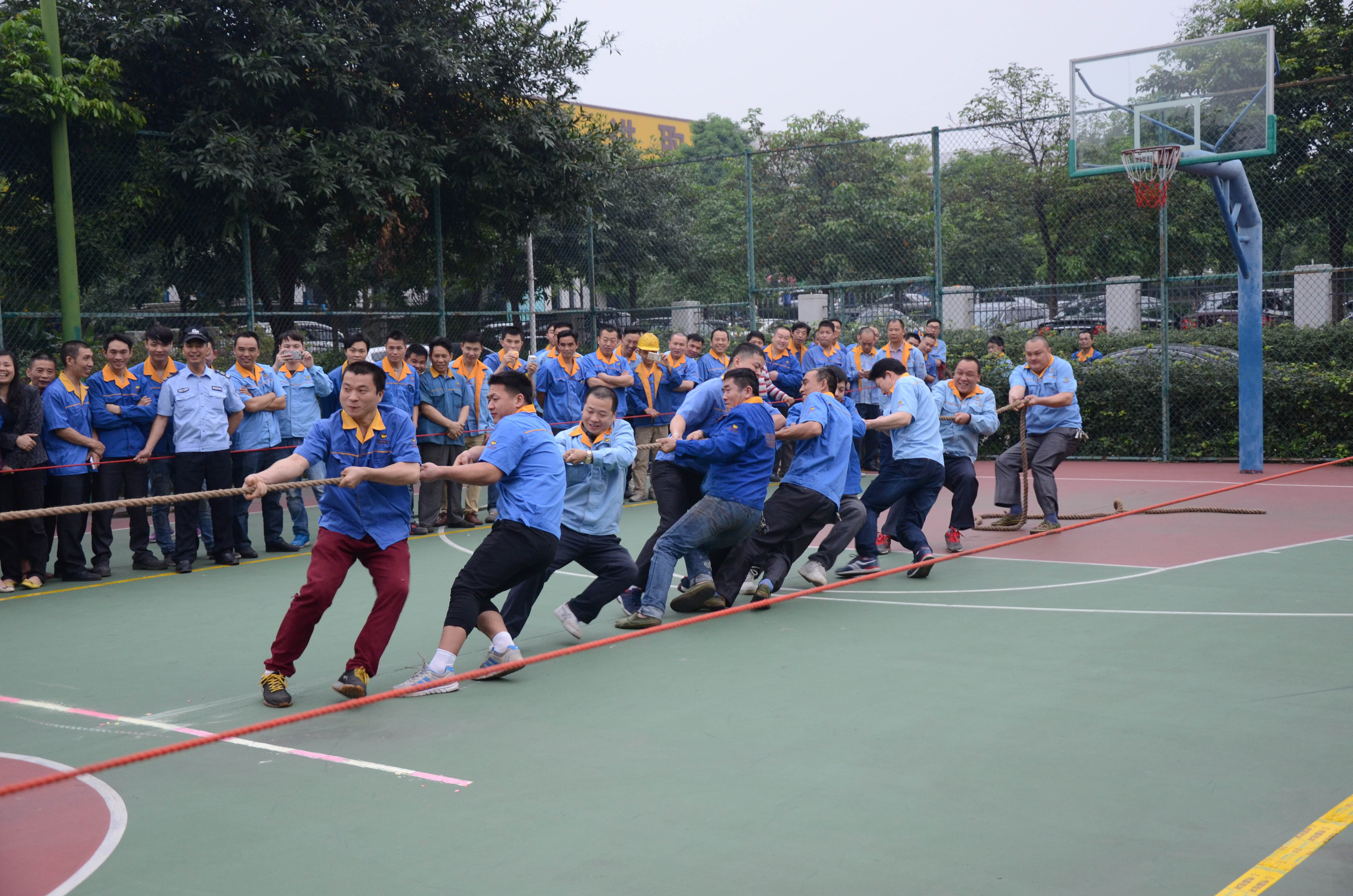 福鹿会·F6(中国)最新官方网站