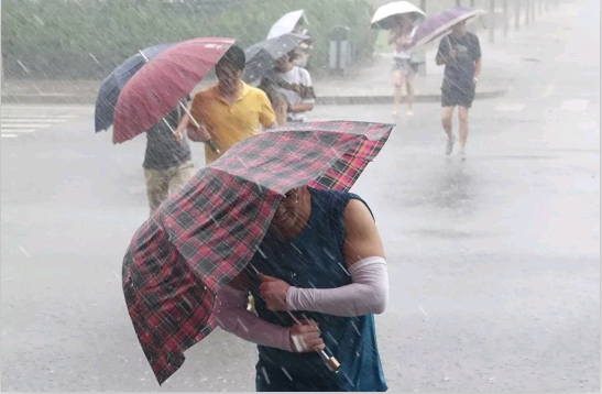 福鹿会·F6(中国)最新官方网站