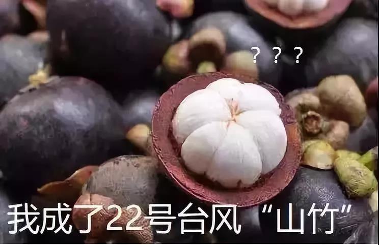 福鹿会·F6(中国)最新官方网站